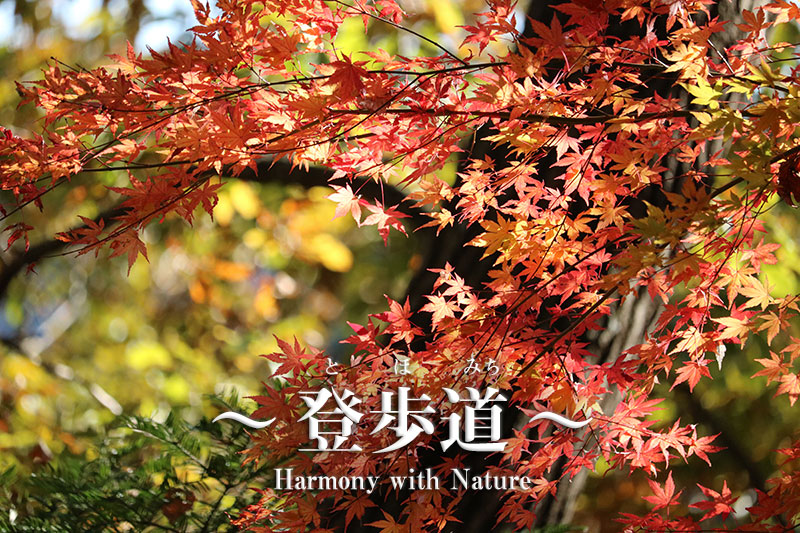 キャラバンツアー登山教室 ≪第8回 アウトドアふゆフェスタ 2019≫ 大野山編登山レポート