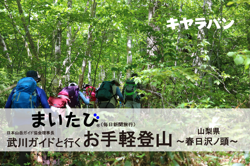 武川ガイドと行く お手軽登山 第1回 ～新緑の春日沢ノ頭～