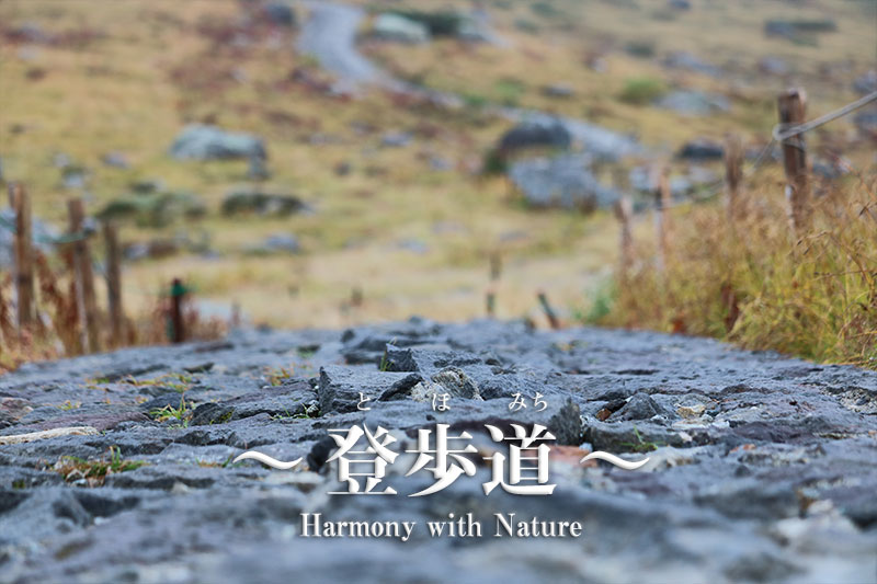 キャラバン65周年記念キャンペーン『北アルプス立山トレッキングツアー』2日目登山レポート　その②