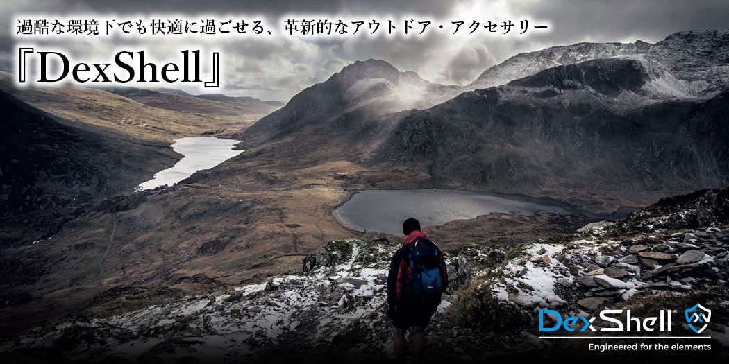 特集ページはこちら