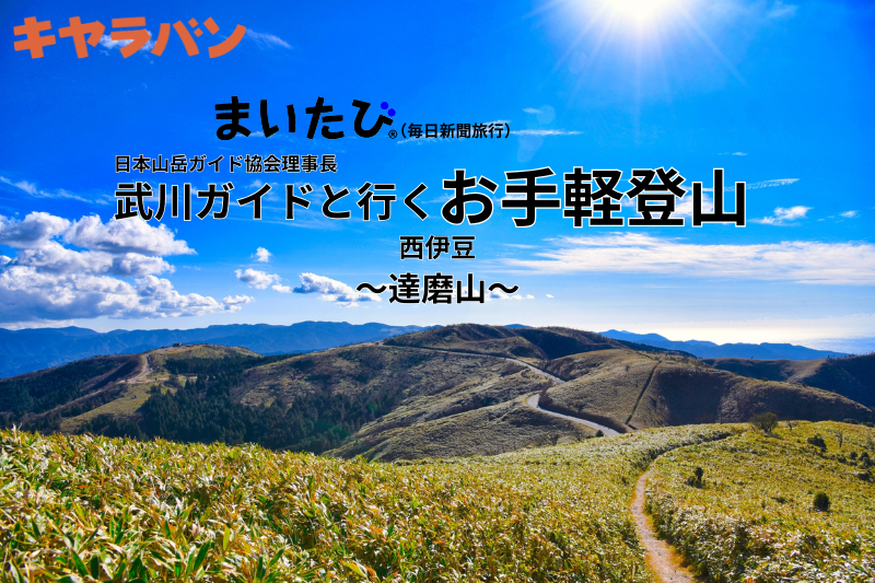 武川ガイドと行く お手軽登山 第1回 ～達磨山～金冠山を歩く(西伊豆)～