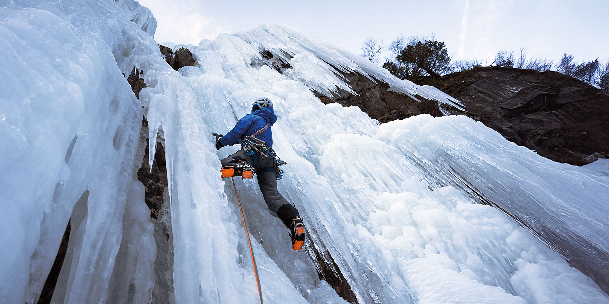 ザンバラン特別割引対象商品